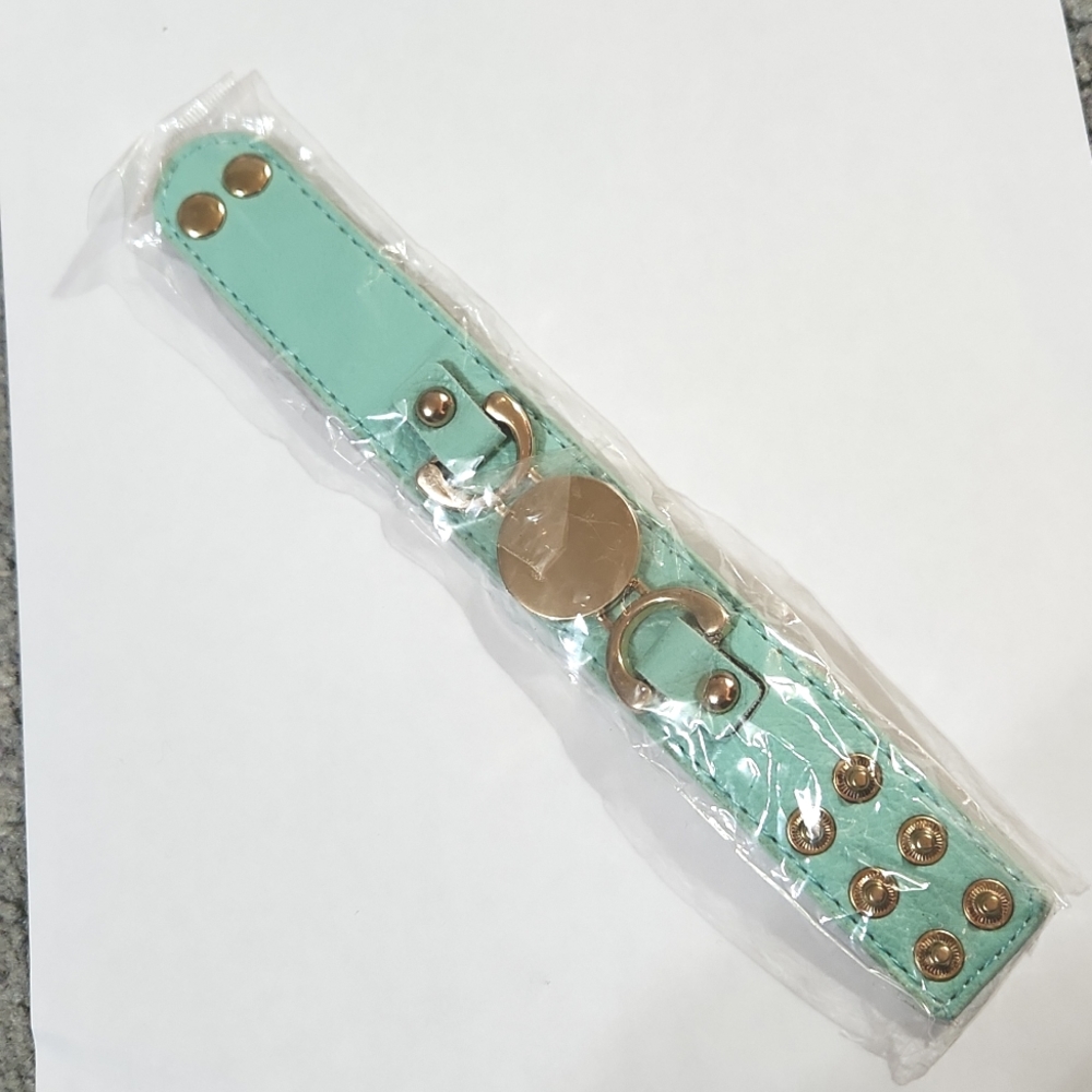 New aqua band bracelet rose gold center